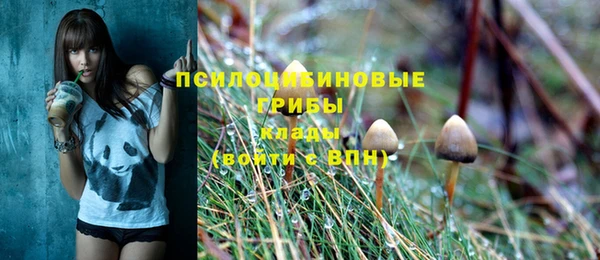 твердый Липки
