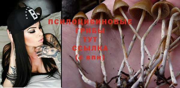 кокаин колумбия Лабытнанги