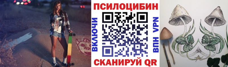 мориарти какой сайт  Лесной  Псилоцибиновые грибы мухоморы 