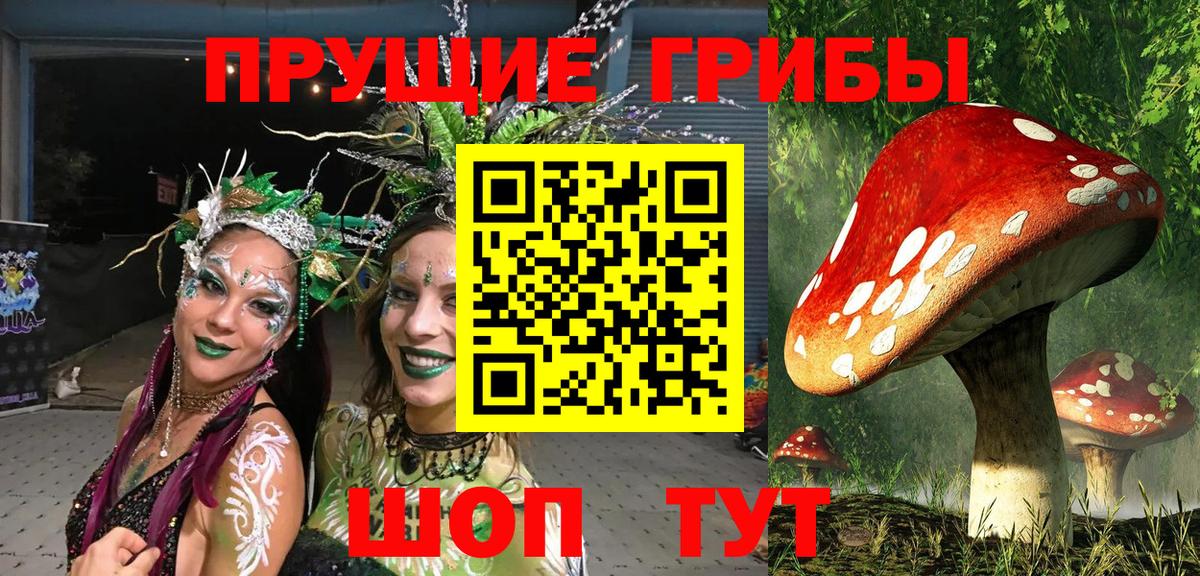 магазин продажи   Вход с VPN  Лесной  Галлюциногенные грибы Psilocybine cubensis  Галлюциногенные грибы ЛСД 