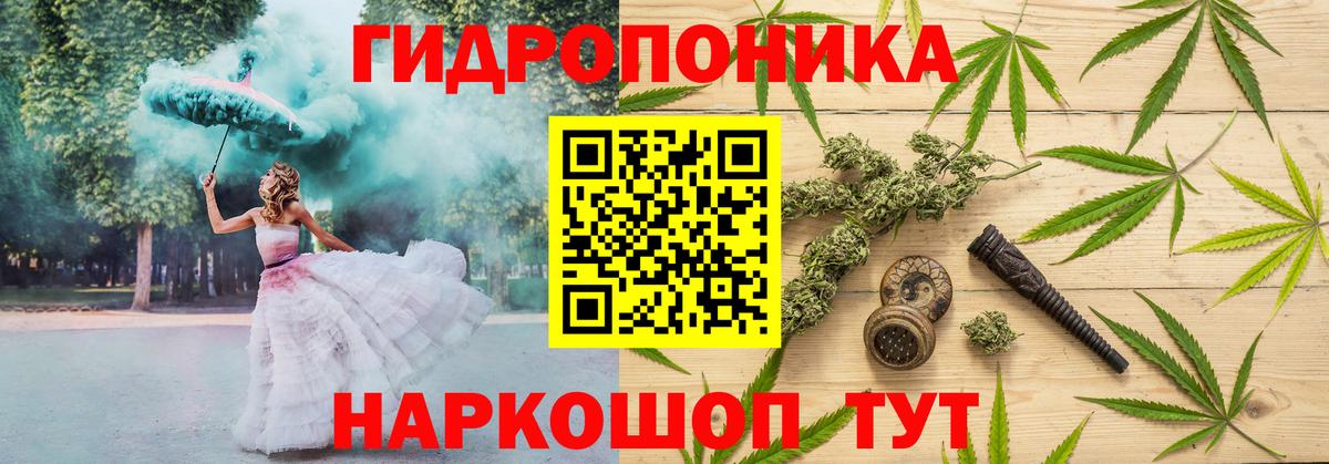 Конопля OG Kush Лесной