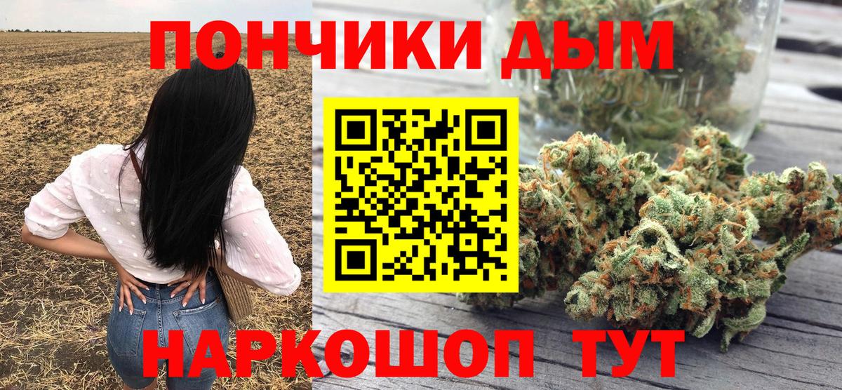 Каннабис сатива  Шишки марихуана семена  Бошки марихуана VHQ  Вход с VPN  Лесной 